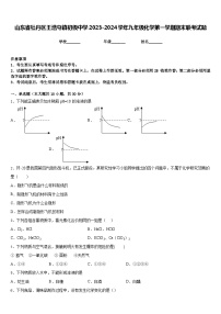 山东省牡丹区王浩屯镇初级中学2023-2024学年九年级化学第一学期期末联考试题含答案