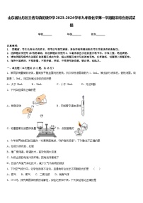 山东省牡丹区王浩屯镇初级中学2023-2024学年九年级化学第一学期期末综合测试试题含答案