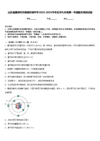 山东省滕州市洪绪镇洪绪中学2023-2024学年化学九年级第一学期期末预测试题含答案