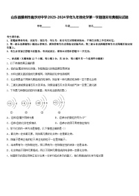 山东省滕州市南沙河中学2023-2024学年九年级化学第一学期期末经典模拟试题含答案