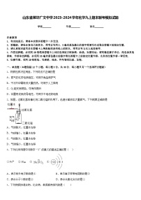 山东省潍坊广文中学2023-2024学年化学九上期末联考模拟试题含答案