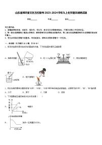 山东省潍坊奎文区五校联考2023-2024学年九上化学期末调研试题含答案