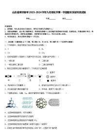 山东省潍坊联考2023-2024学年九年级化学第一学期期末质量检测试题含答案