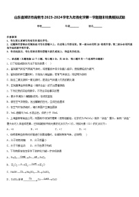 山东省潍坊市高密市2023-2024学年九年级化学第一学期期末经典模拟试题含答案