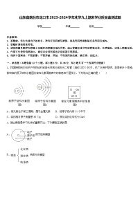 山东省烟台市龙口市2023-2024学年化学九上期末学业质量监测试题含答案