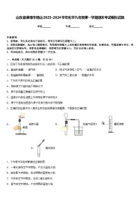 山东省淄博市博山2023-2024学年化学九年级第一学期期末考试模拟试题含答案