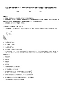 山东省潍坊市临朐2023-2024学年化学九年级第一学期期末达标检测模拟试题含答案