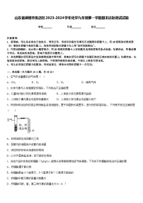 山东省淄博市张店区2023-2024学年化学九年级第一学期期末达标测试试题含答案