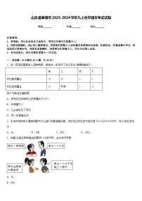 山东省淄博市2023-2024学年九上化学期末考试试题含答案