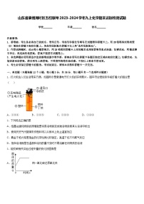 山东省淄博周村区五校联考2023-2024学年九上化学期末达标检测试题含答案