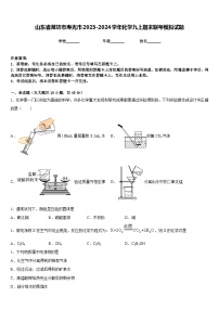 山东省潍坊市寿光市2023-2024学年化学九上期末联考模拟试题含答案