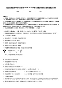 山东省烟台芝罘区六校联考2023-2024学年九上化学期末达标检测模拟试题含答案