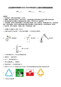 山东省潍坊市青州市2023-2024学年化学九上期末质量跟踪监视试题含答案