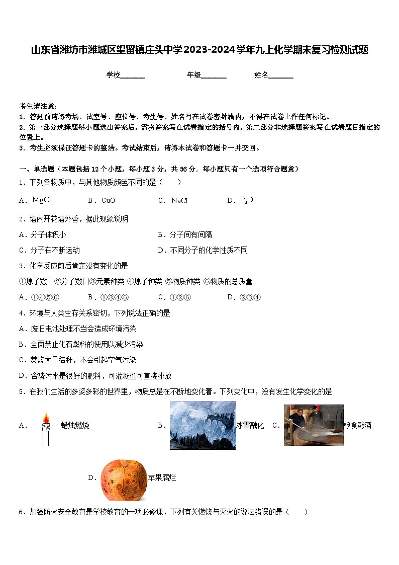 山东省潍坊市潍城区望留镇庄头中学2023-2024学年九上化学期末复习检测试题含答案第1页