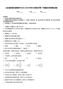 山东省淄博沂源县联考2023-2024学年九年级化学第一学期期末检测模拟试题含答案