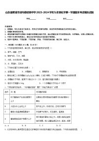 山东省肥城市湖屯镇初级中学2023-2024学年九年级化学第一学期期末考试模拟试题含答案