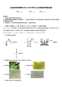 山东省菏泽单县联考2023-2024学年九上化学期末联考模拟试题含答案