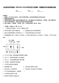 山东省菏泽市郓城一中学2023-2024学年化学九年级第一学期期末综合测试模拟试题含答案