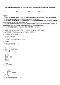 山东省莱城区刘仲莹中学2023-2024学年九年级化学第一学期期末复习检测试题含答案