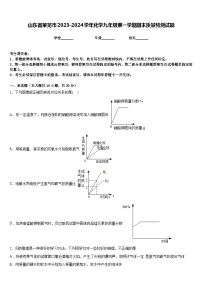 山东省莱芜市2023-2024学年化学九年级第一学期期末质量检测试题含答案