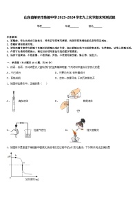 山东省莱芜市陈毅中学2023-2024学年九上化学期末预测试题含答案