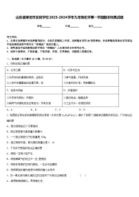 山东省莱芜市实验学校2023-2024学年九年级化学第一学期期末经典试题含答案