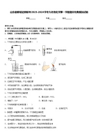 山东省聊城冠县联考2023-2024学年九年级化学第一学期期末经典模拟试题含答案