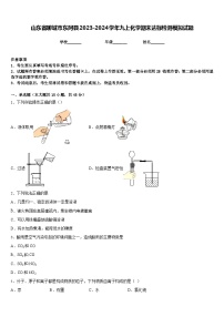 山东省聊城市东阿县2023-2024学年九上化学期末达标检测模拟试题含答案