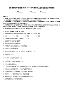 山东省聊城市临清市2023-2024学年化学九上期末综合测试模拟试题含答案