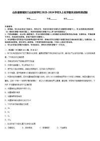 山东省陵城区江山实验学校2023-2024学年九上化学期末达标检测试题含答案