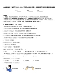 山东省青岛十五中学2023-2024学年九年级化学第一学期期末学业质量监测模拟试题含答案