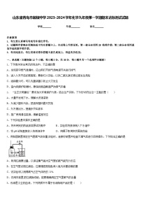 山东省青岛市超银中学2023-2024学年化学九年级第一学期期末达标测试试题含答案