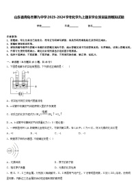 山东省青岛市第九中学2023-2024学年化学九上期末学业质量监测模拟试题含答案