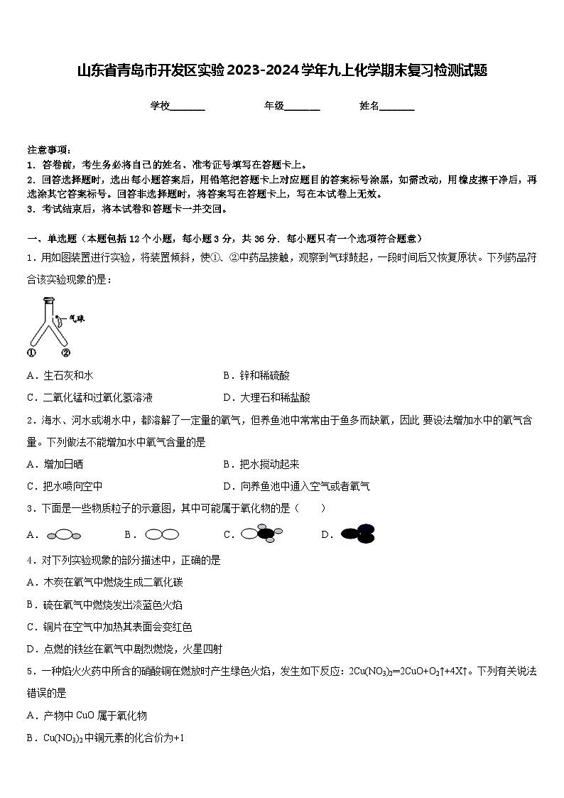 山东省青岛市开发区实验2023-2024学年九上化学期末复习检测试题含答案第1页