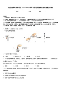 山东省青岛市李沧区2023-2024学年九上化学期末达标检测模拟试题含答案