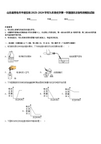 山东省青岛市平度实验2023-2024学年九年级化学第一学期期末达标检测模拟试题含答案