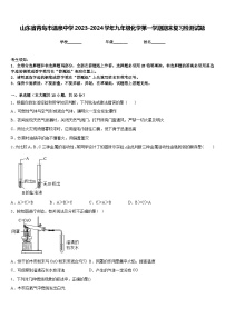 山东省青岛市温泉中学2023-2024学年九年级化学第一学期期末复习检测试题含答案