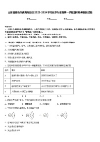 山东省青岛市西海岸新区2023-2024学年化学九年级第一学期期末联考模拟试题含答案