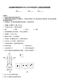 山东省邹平县实验中学2023-2024学年化学九上期末质量检测试题含答案