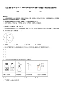 山东省郓城一中学2023-2024学年化学九年级第一学期期末质量跟踪监视试题含答案