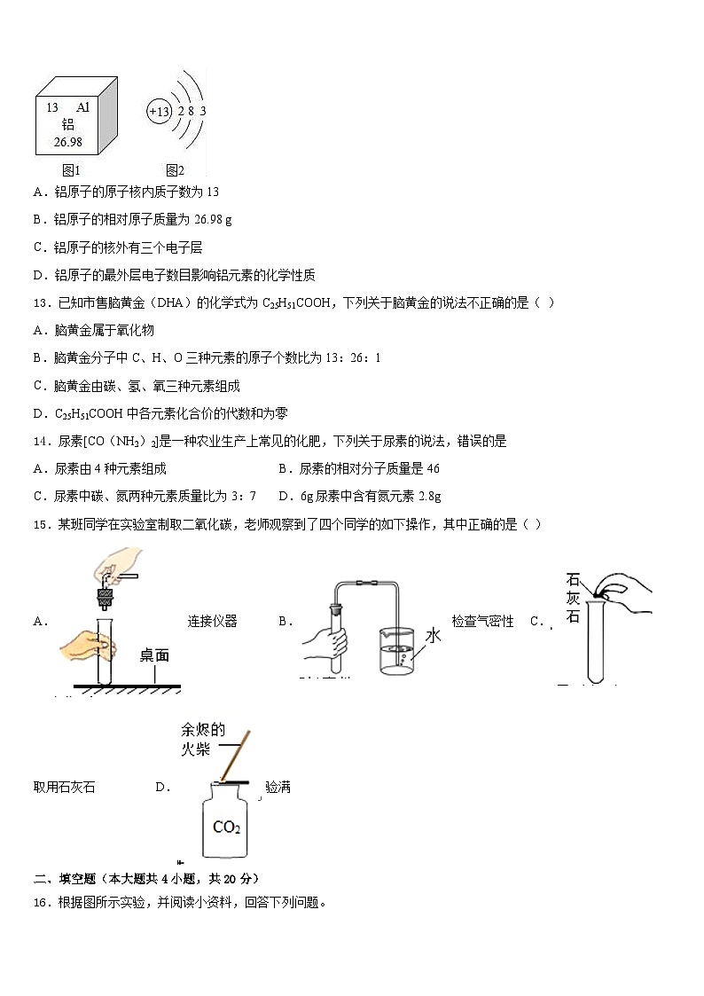 山东聊城市文轩中学2023-2024学年化学九年级第一学期期末复习检测模拟试题含答案03