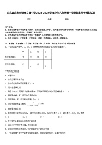 山东省高密市银鹰文昌中学2023-2024学年化学九年级第一学期期末统考模拟试题含答案