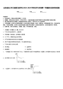 山东省龙口市兰高镇兰高学校2023-2024学年化学九年级第一学期期末达标检测试题含答案