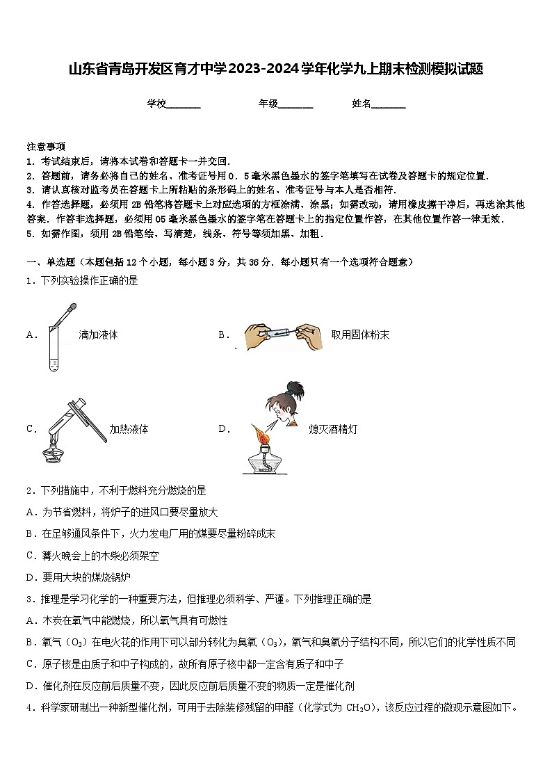 山东省青岛开发区育才中学2023-2024学年化学九上期末检测模拟试题含答案第1页