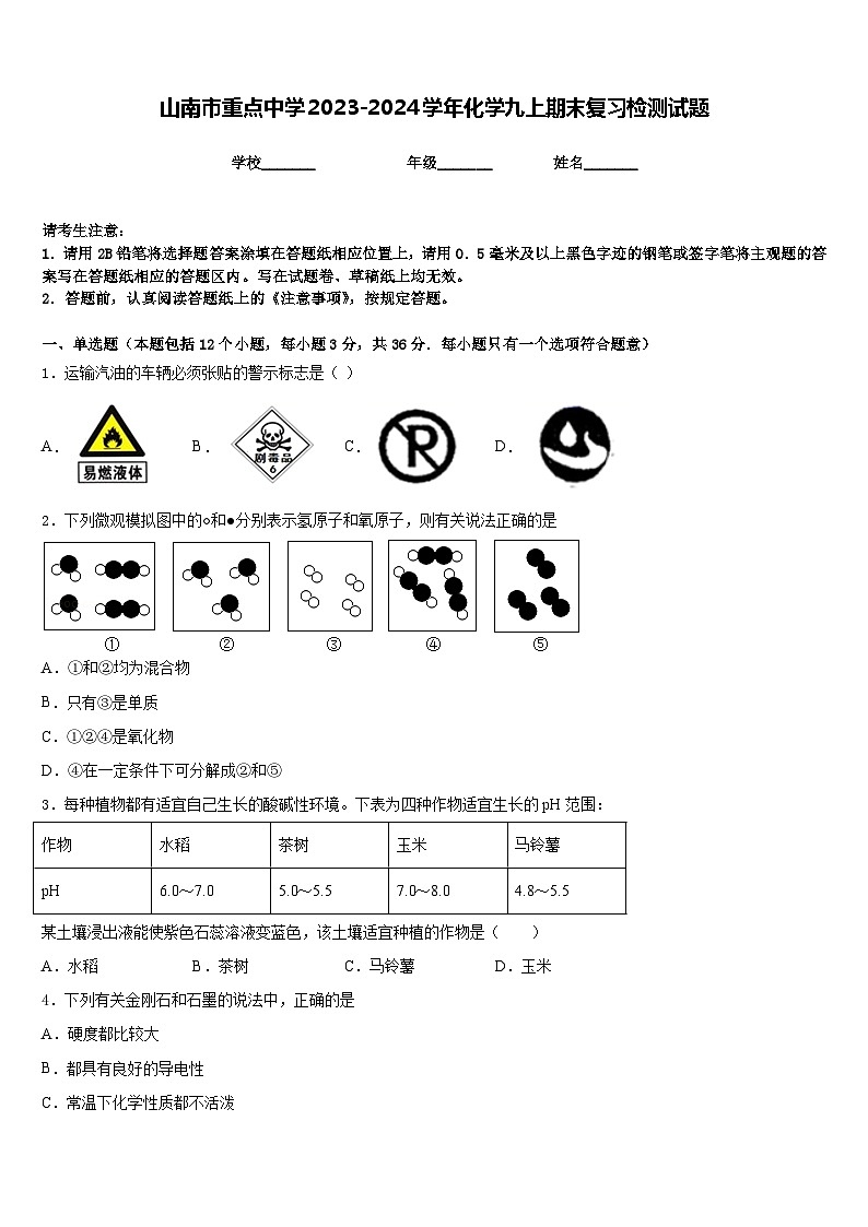 山南市重点中学2023-2024学年化学九上期末复习检测试题含答案01