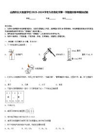 山西农业大附属学校2023-2024学年九年级化学第一学期期末联考模拟试题含答案