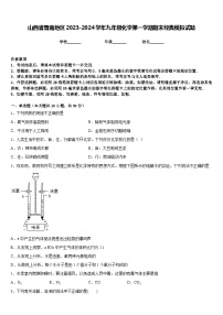 山西省晋南地区2023-2024学年九年级化学第一学期期末经典模拟试题含答案