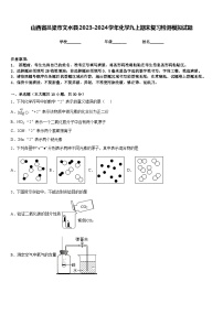 山西省吕梁市文水县2023-2024学年化学九上期末复习检测模拟试题含答案