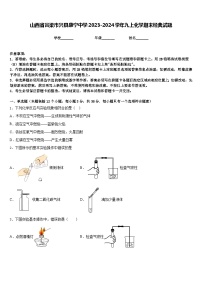 山西省吕梁市兴县康宁中学2023-2024学年九上化学期末经典试题含答案