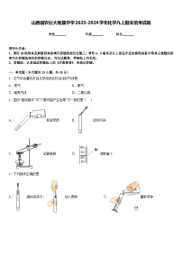 山西省农业大附属中学2023-2024学年化学九上期末统考试题含答案